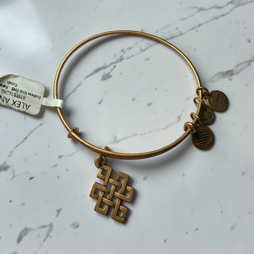 NWT Alex and Ani Endless Knot Charm Bangle Bracelet Rafaelian Gold Expandable - Picture 2 of 8
